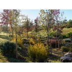 P.A.R.C. ( Parc del Nord Sabadell ) | Premis FAD  | Ciudad y Paisaje