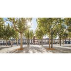 Firal d'Olot | Premis FAD 2022 | Town and Landscape