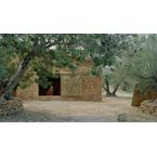 Human shelter in an olive grove | Premis FAD 2024 | Interiorisme