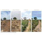 Turó de Can Bech. Reconquesta Ecològica al Parc dels Tres Turons | Premis FAD  | Ciudad y Paisaje