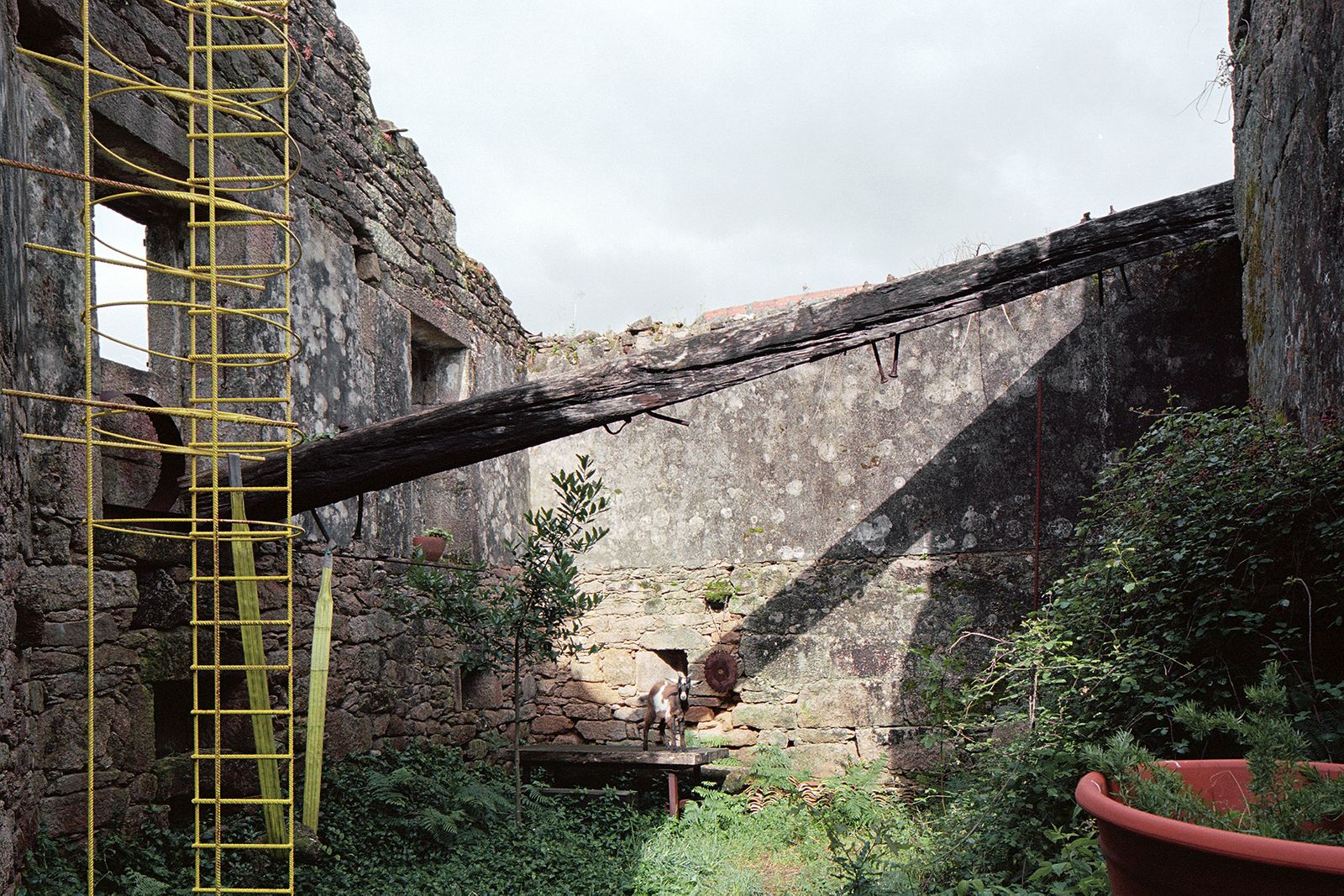 El Jardín de Panches