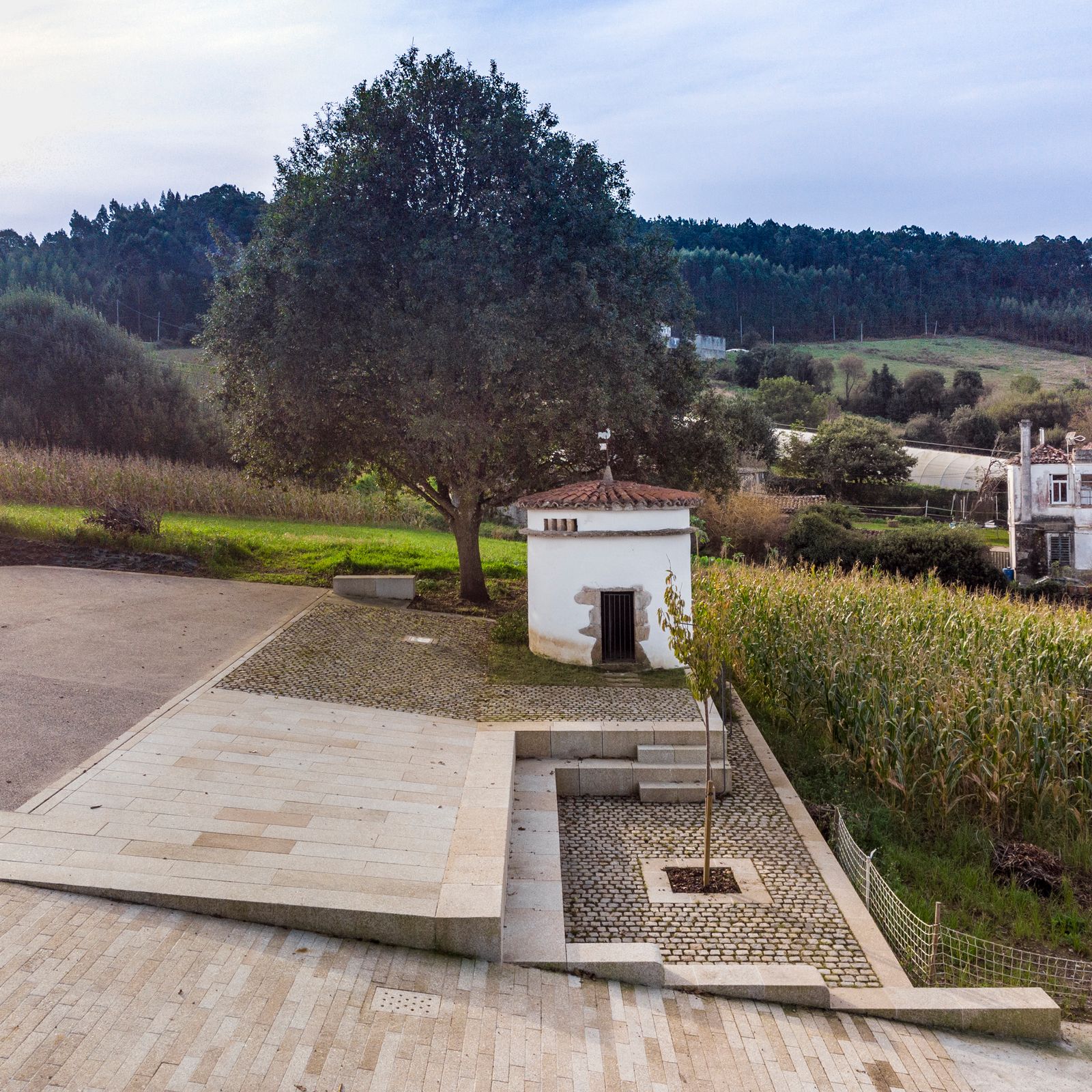 PLAZA DEL PALOMAR DE SAN MIGUEL DE VILELA