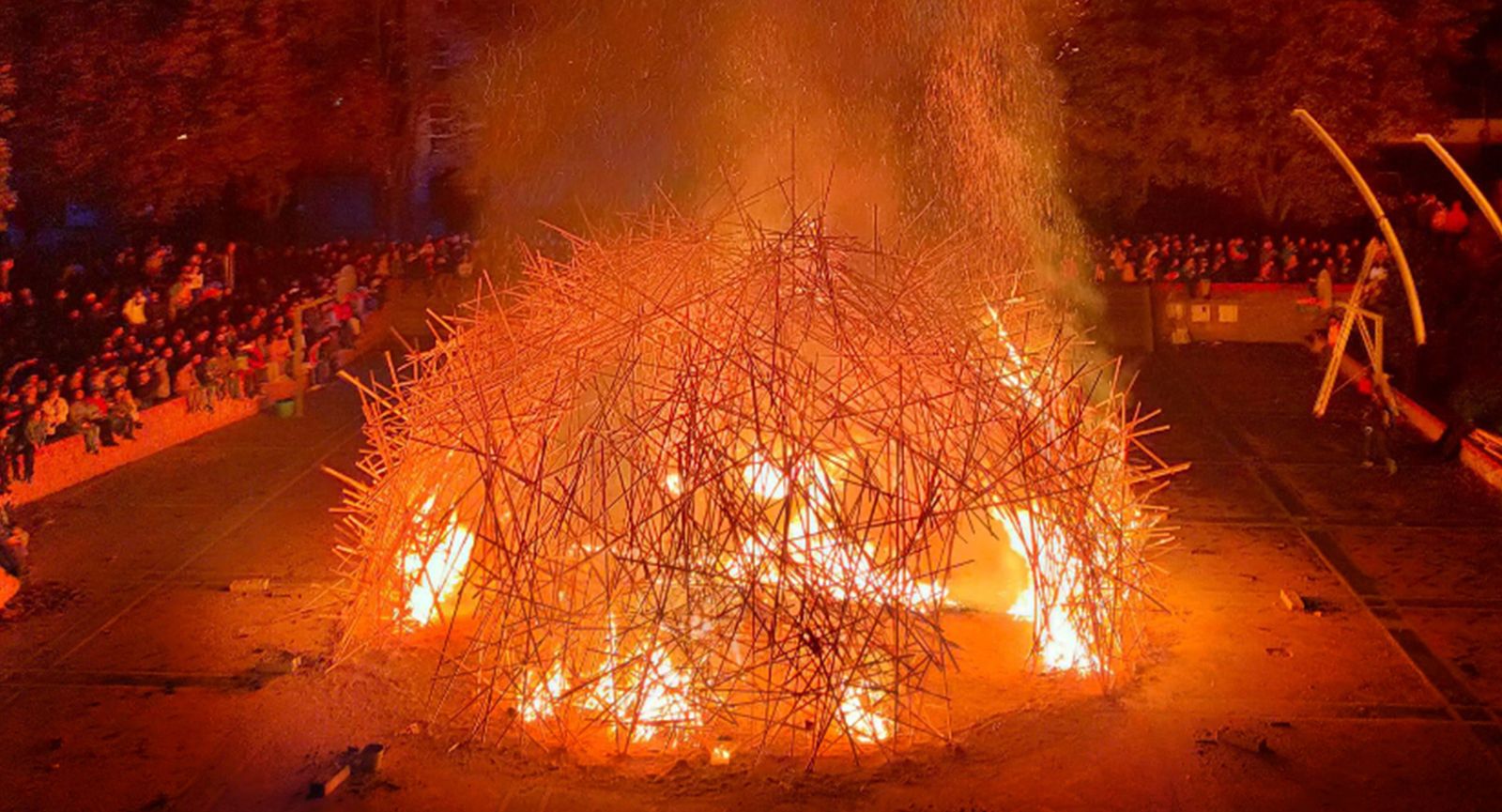 Niu de Foc
