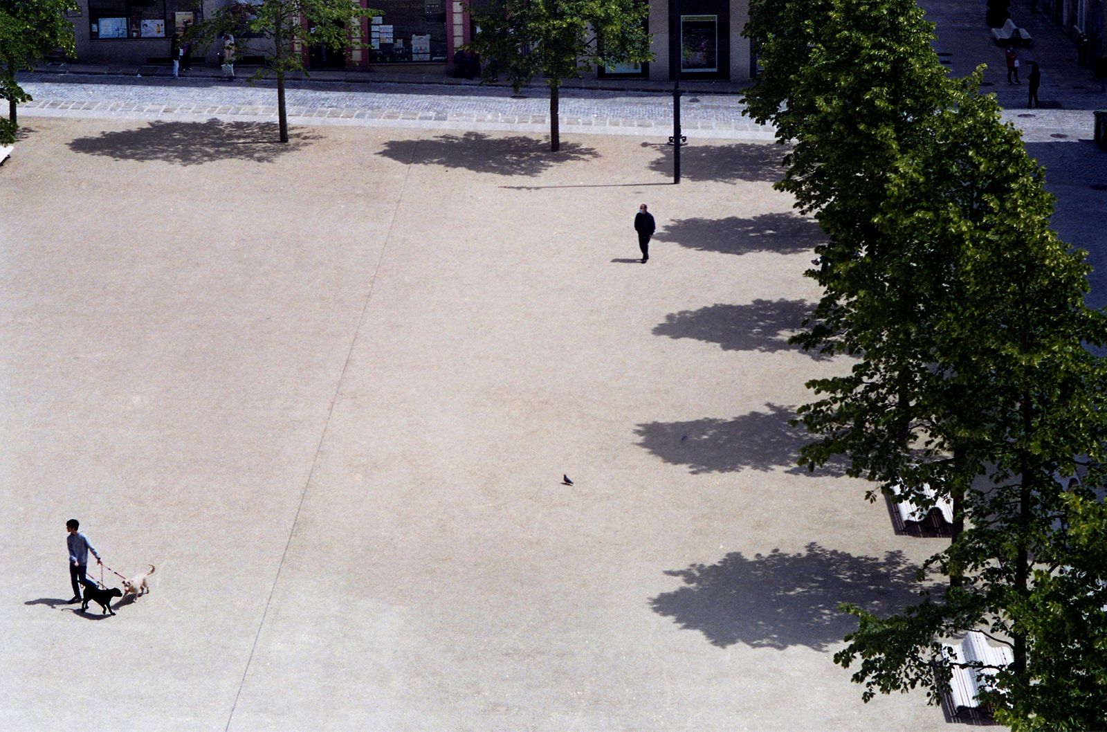 Remodelación de la Plaza de Armas de Ferrol