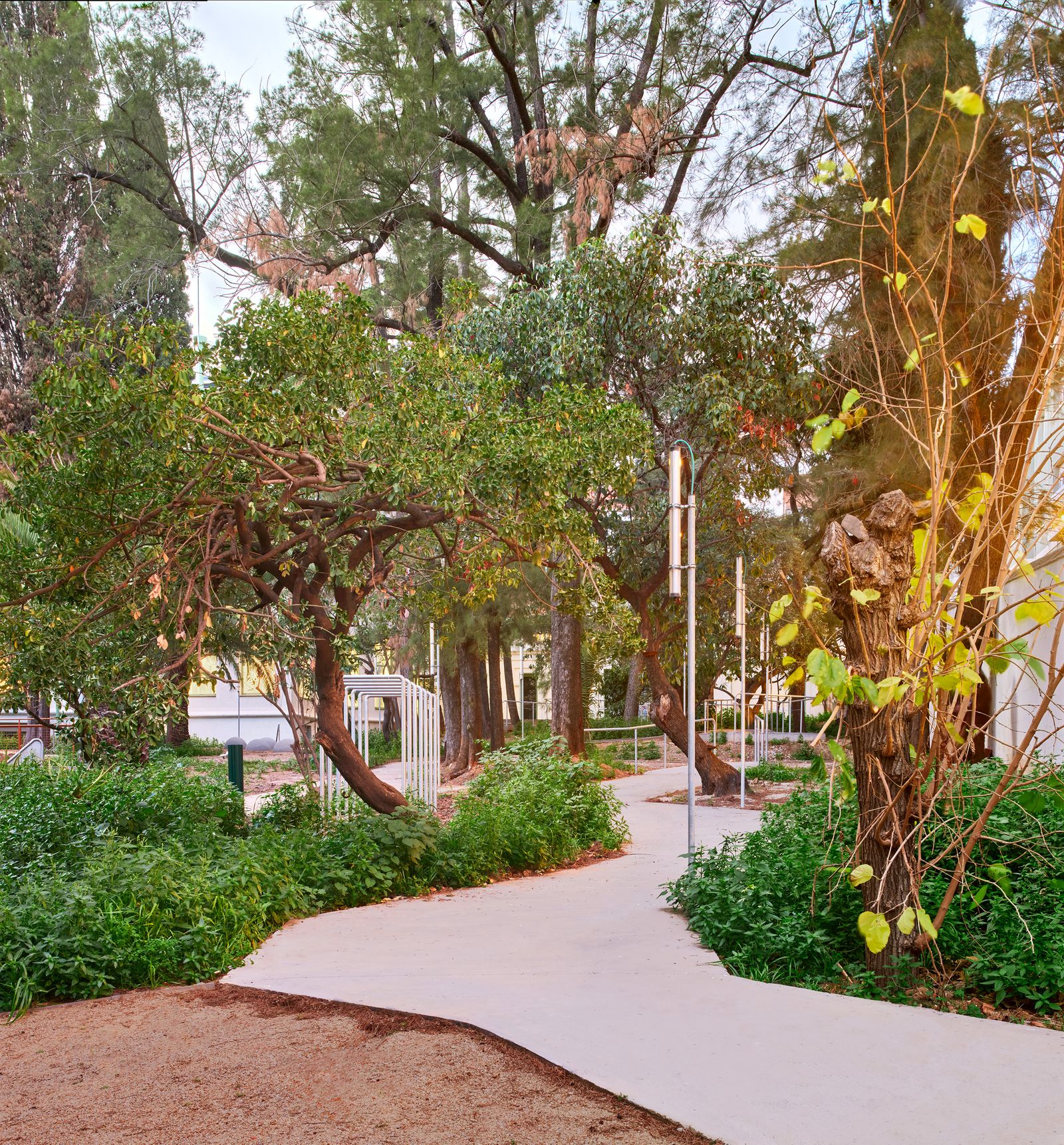 Jardí per a una Escola Montessori al Carrer Ballester