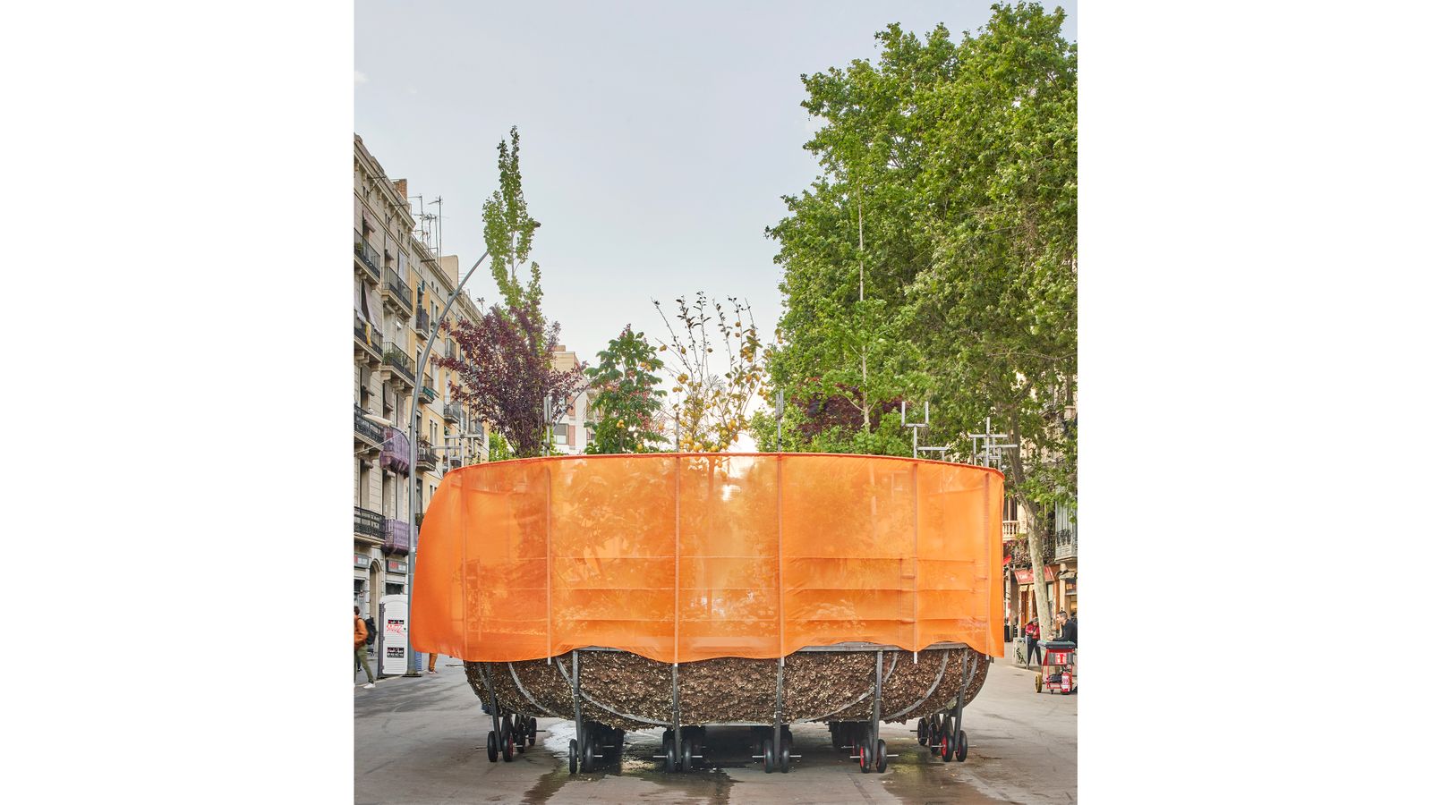 Arca