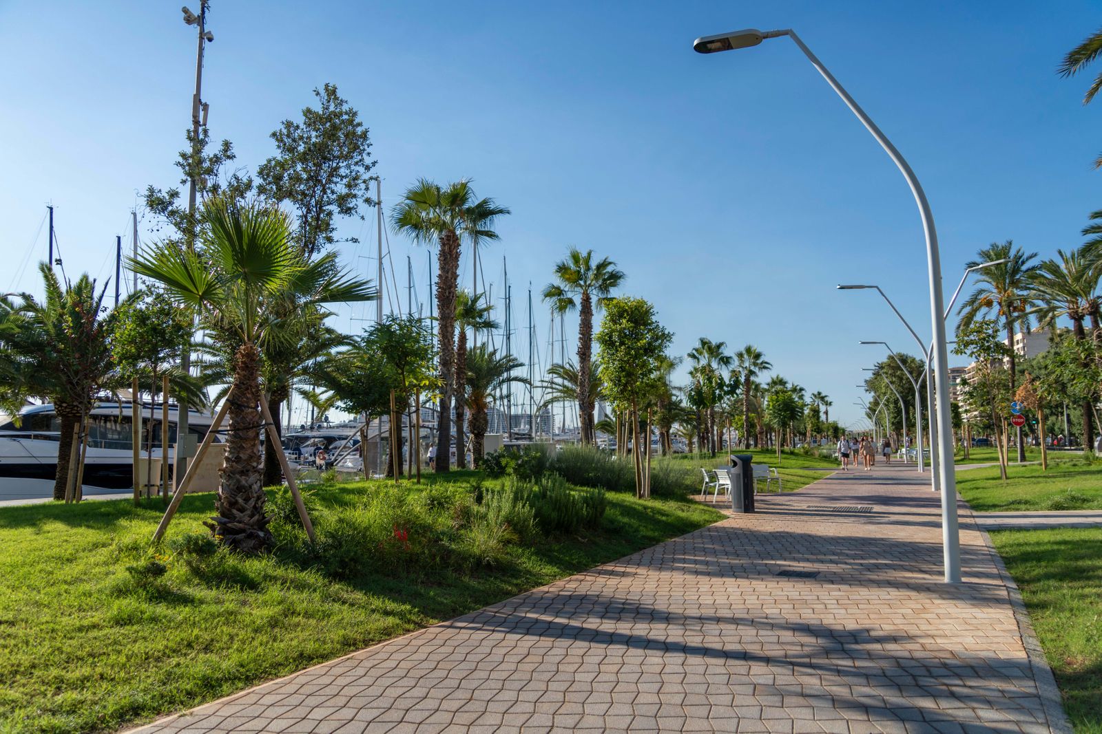Passeig Marítim de Palma, Mallorca