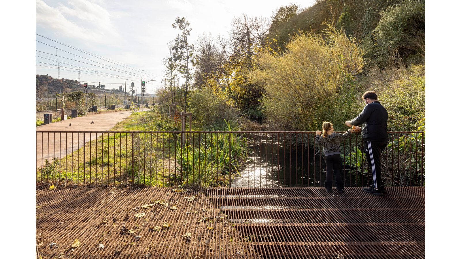 Renaturalització i Millora Ambiental Dels Entorns del Rec Comtal a Vallbona. Refugi Ecosistèmic
