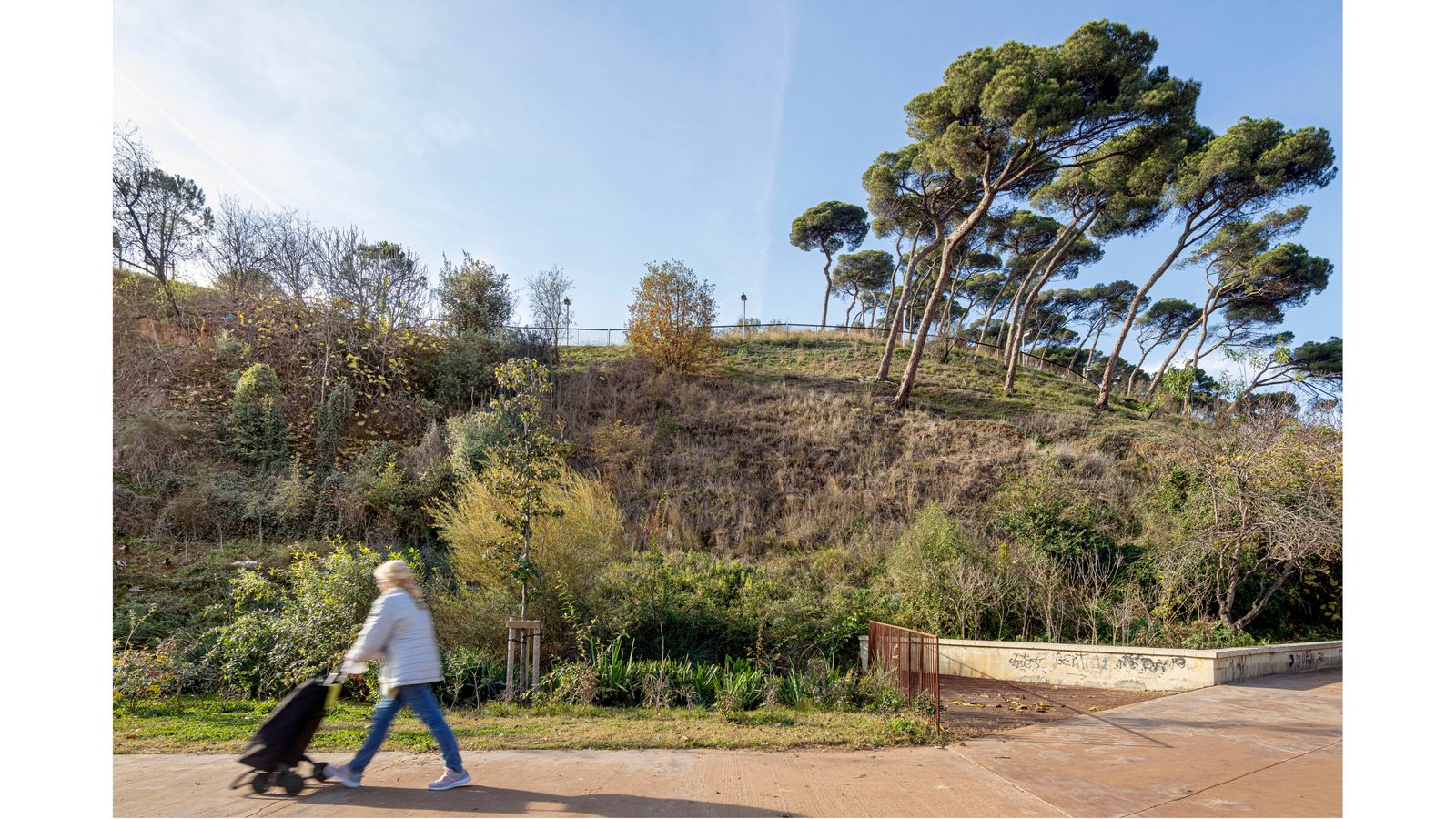 Renaturalització i Millora Ambiental Dels Entorns del Rec Comtal a Vallbona. Refugi Ecosistèmic
