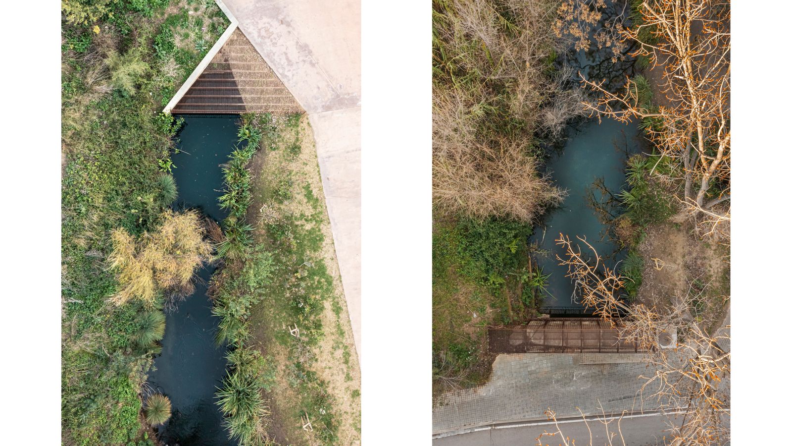 Renaturalització i Millora Ambiental Dels Entorns del Rec Comtal a Vallbona. Refugi Ecosistèmic