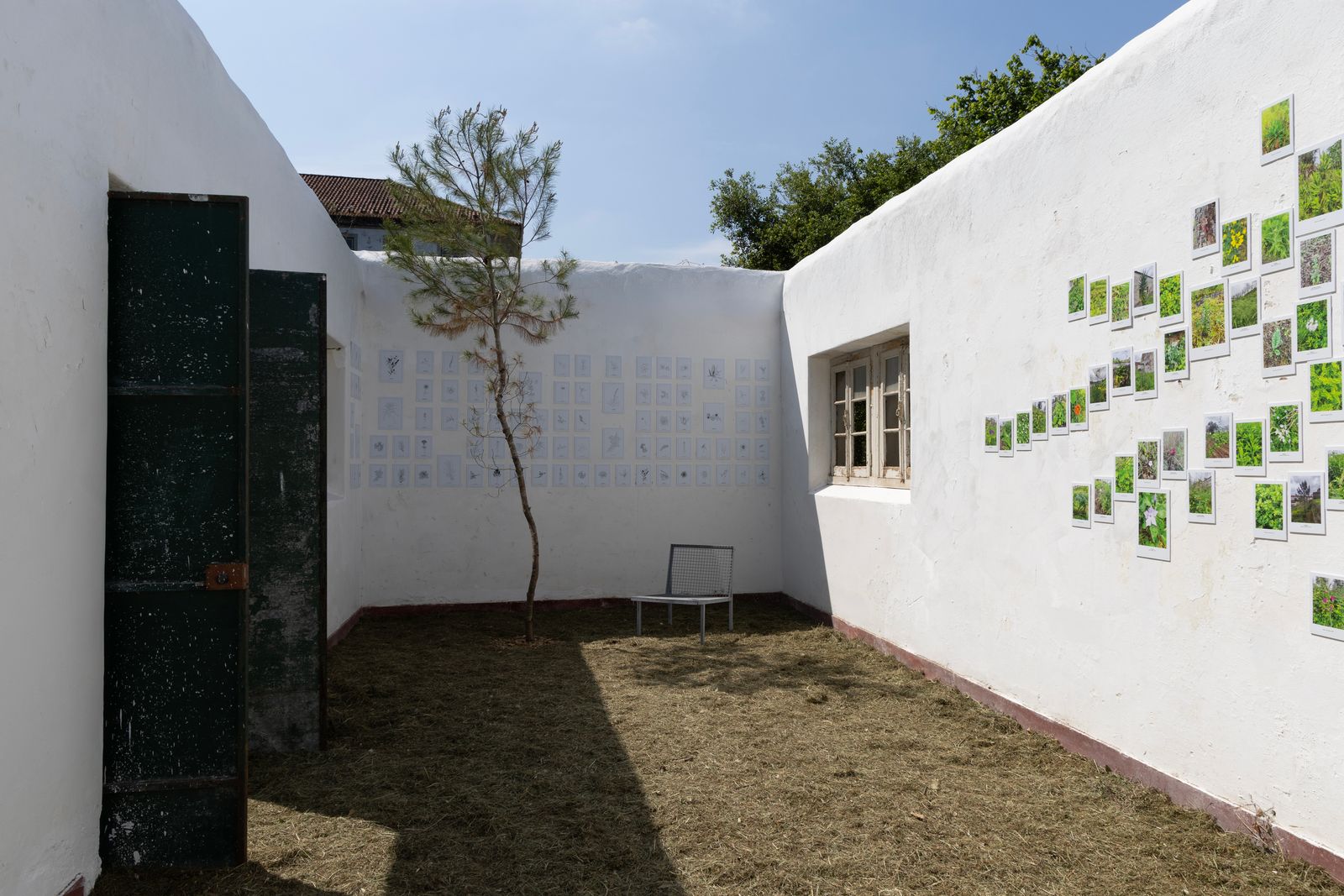 Procesos. Programa de arquitectura Bienal de Coimbra