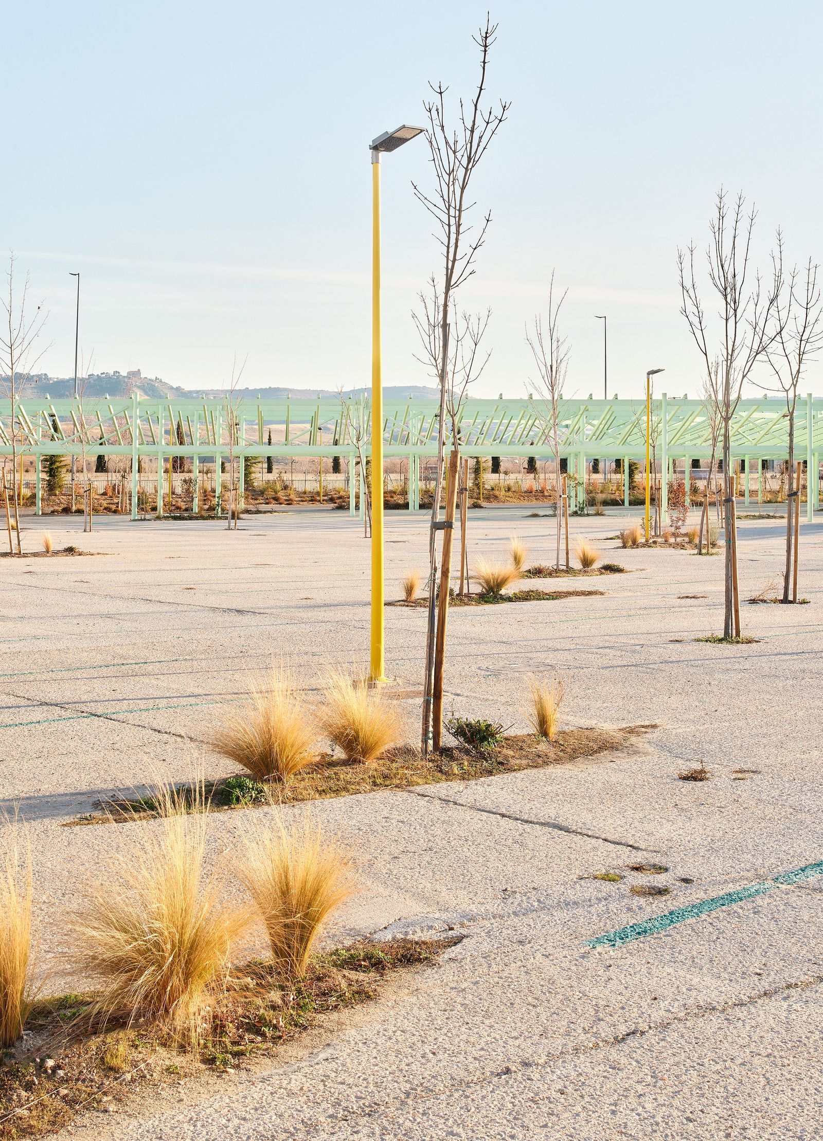 RENATURALIZACION PARKING LICONSA