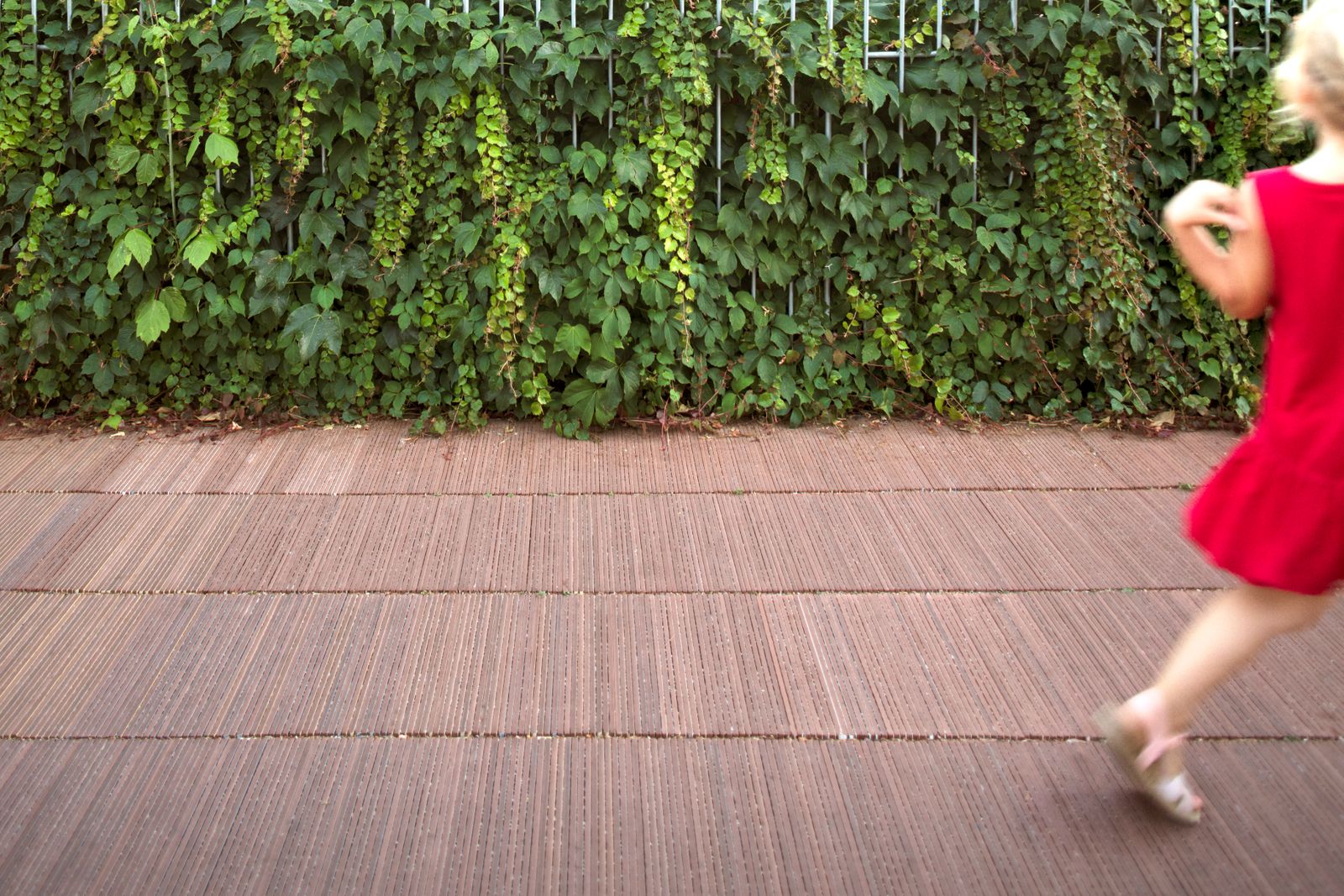 Proyecto Europeo de Innovación LIFE CERSUDS