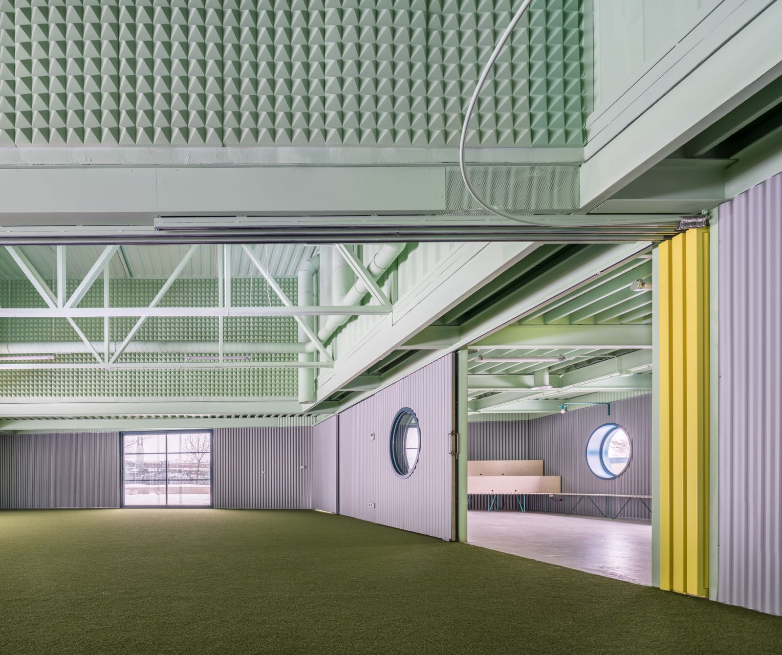 Educan. Escuela para perros, humanos y otras especies