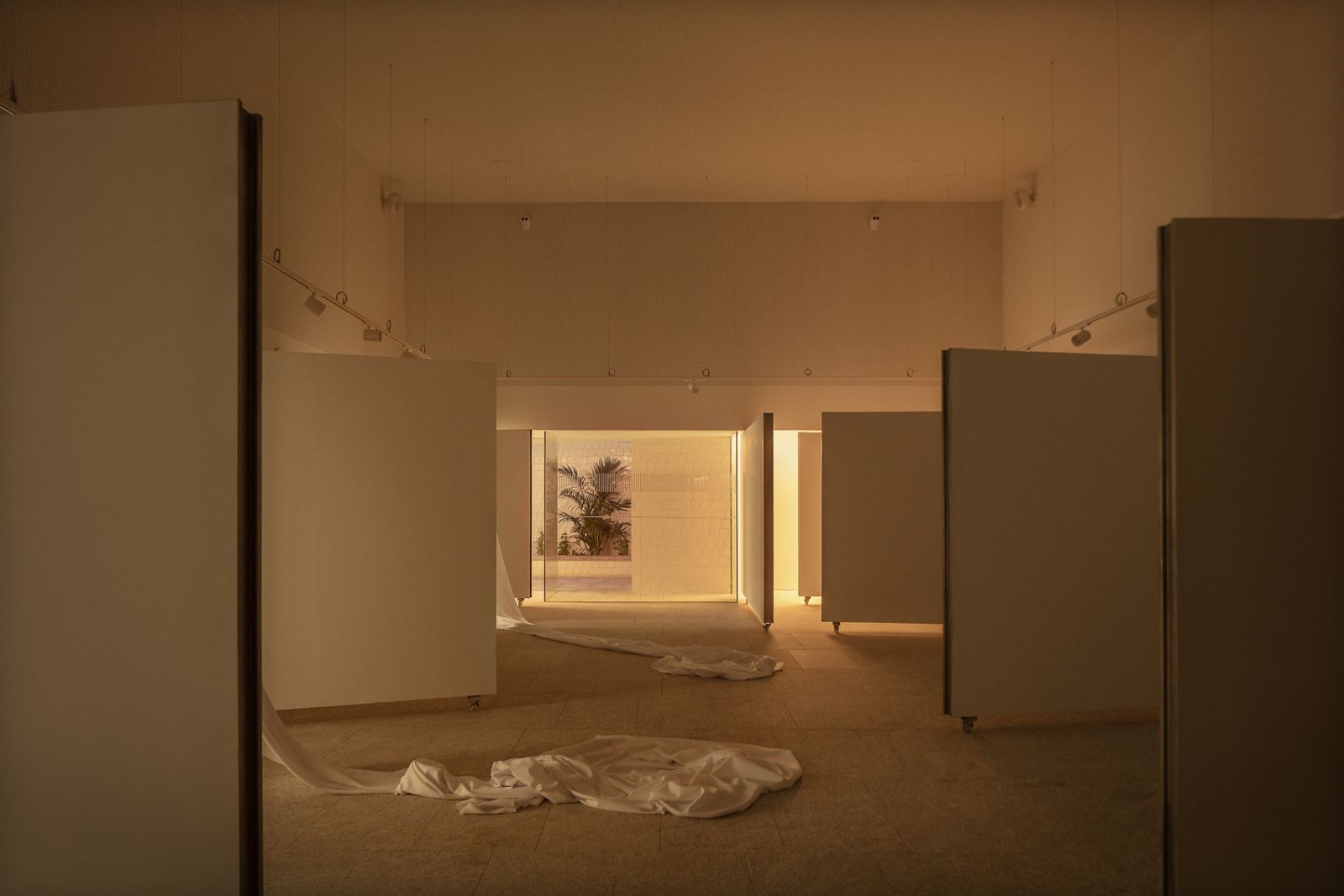 C14_Centro de Recursos de la Juventud, Alicante.