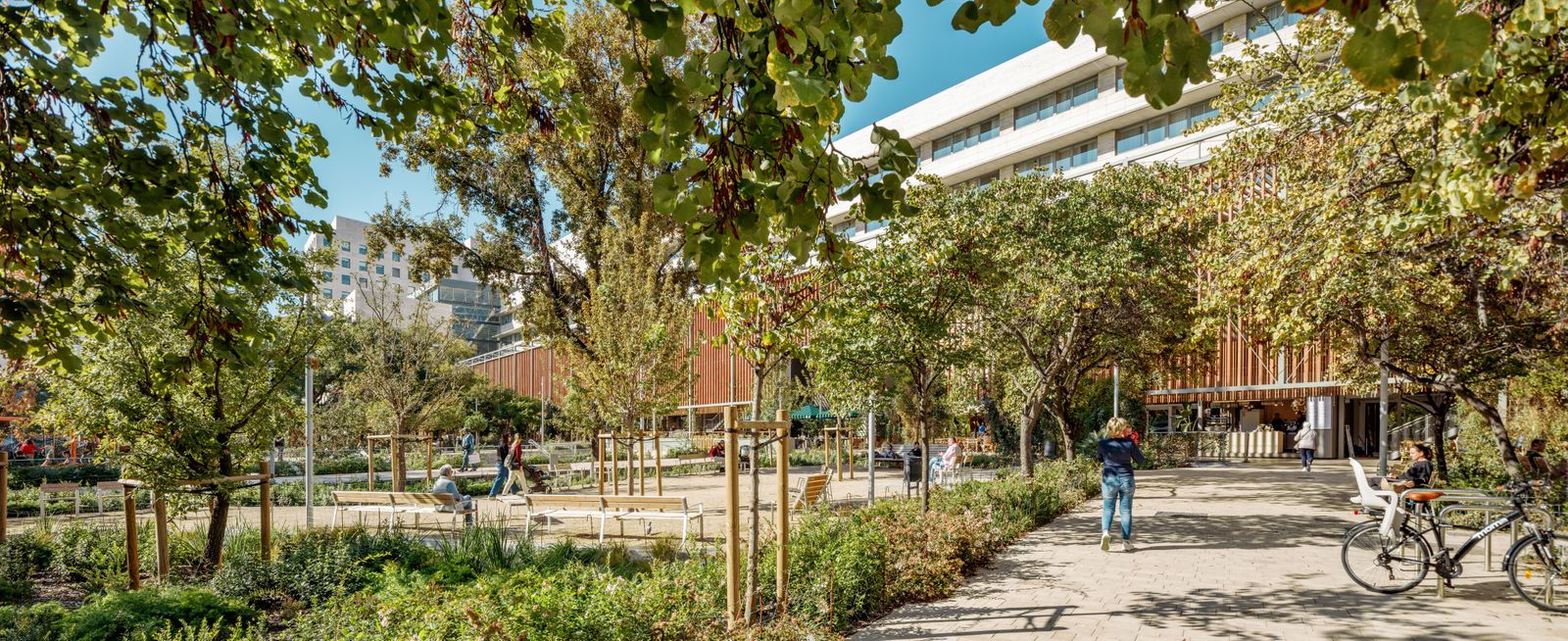 Espais "Lliures" de l'Illa Diagonal