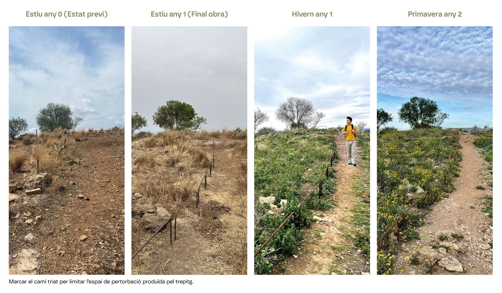 Turó de Can Bech. Reconquesta Ecològica al Parc dels Tres Turons