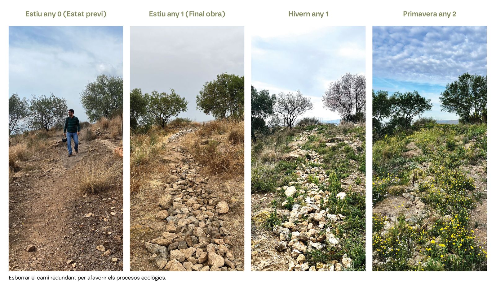Turó de Can Bech. Reconquesta Ecològica al Parc dels Tres Turons