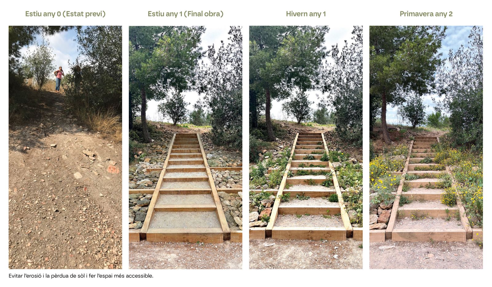 Turó de Can Bech. Reconquesta Ecològica al Parc dels Tres Turons