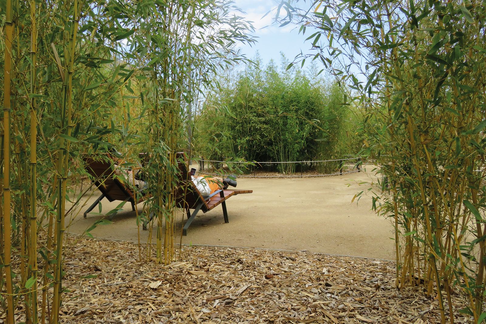 Canòpia Urbana - Àmbit Túnels