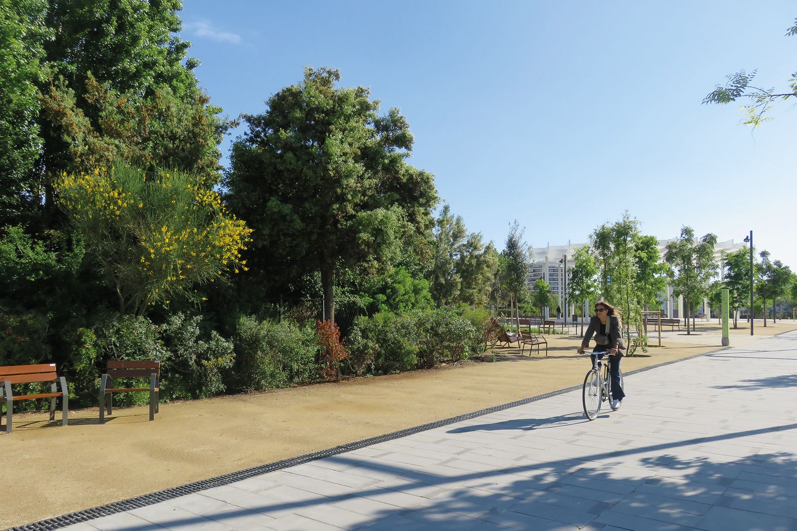 Canòpia Urbana - Àmbit Túnels