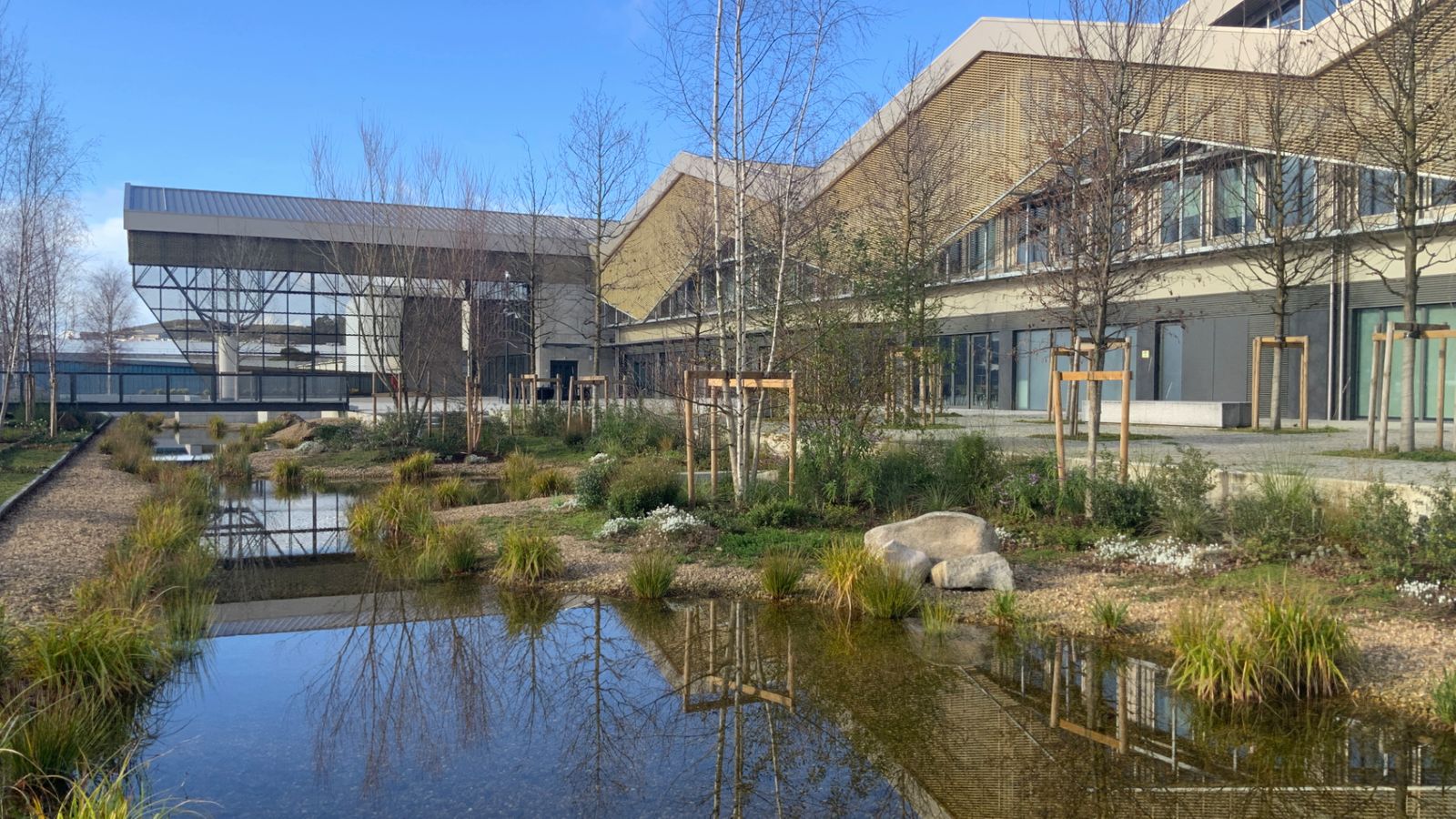 Rehabilitación de Antigua Nave de Grano para Nueva Sede Corporación Hijos de Rivera