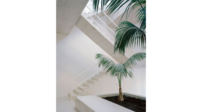 Casa verdi | Premis FAD 2022 | Arquitectura