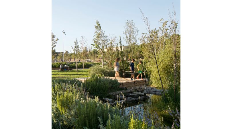 Biollac al parc central d'igualada | Premis FAD 2024 | Ciutat i Paisatge