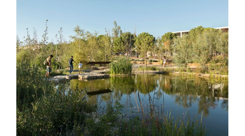 Biollac al parc central d'igualada | Premis FAD 2024 | Ciutat i Paisatge