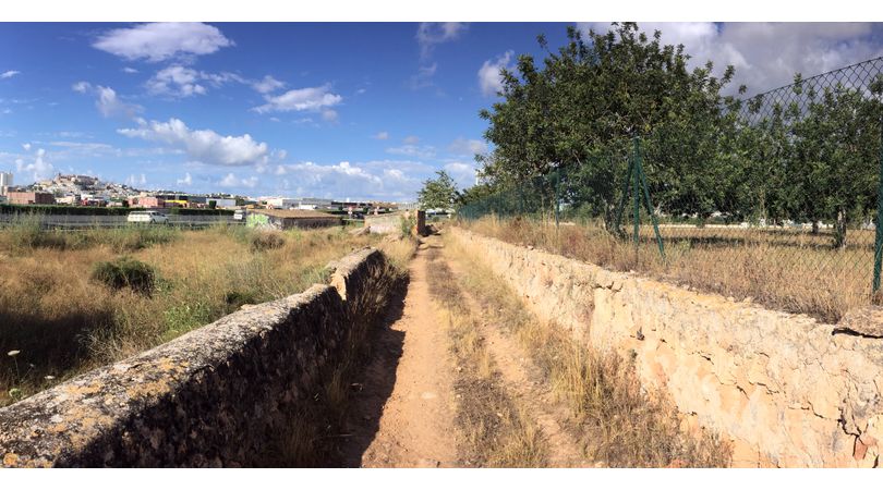Estudi previ per a la recuperació dels camins tradicionals del pla de vila, eivissa | Premis FAD 2022 | Ciutat i Paisatge