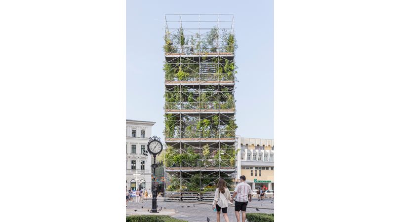 Nursery 1306 plants for timisoara | Premis FAD 2024 | International Ephemeral Interventions