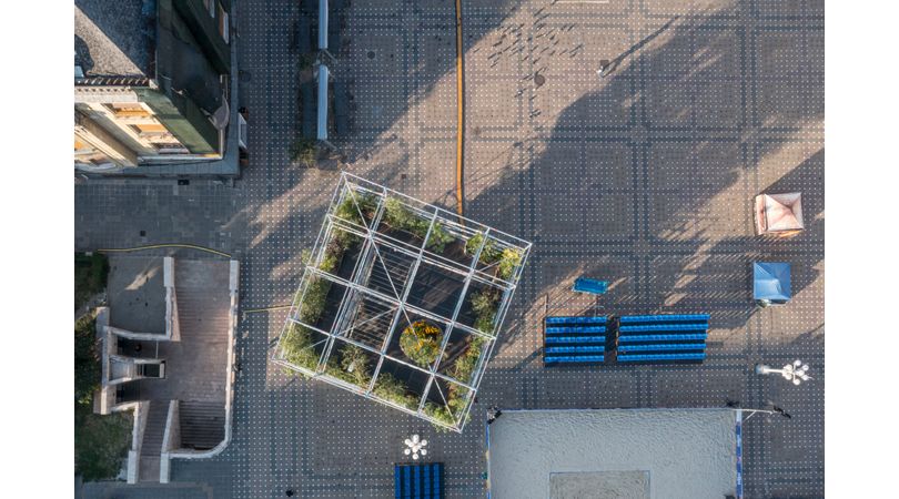Nursery 1306 plants for timisoara | Premis FAD 2024 | International Ephemeral Interventions