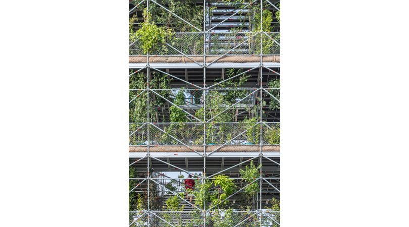 Nursery 1306 plants for timisoara | Premis FAD 2024 | International Ephemeral Interventions